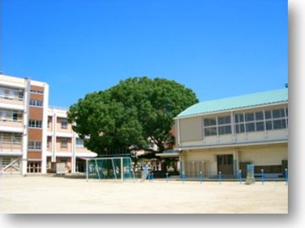 羽衣小学校