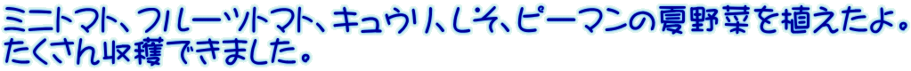 ~jg}gAt[cg}gALEAAs[}̉Ė؂AB nł܂B