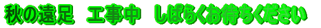 H̉@H@΂炭҂