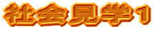 ЉwP