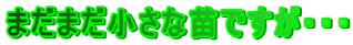 ܂܂ȕcłEEE
