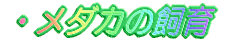 t̉ 