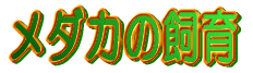 _J̎