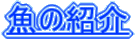 ̏Љ
